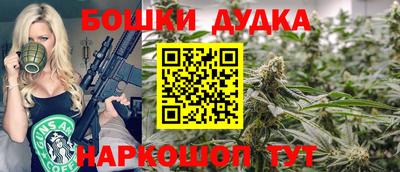 гашик Сланцы