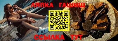 гашик Сланцы