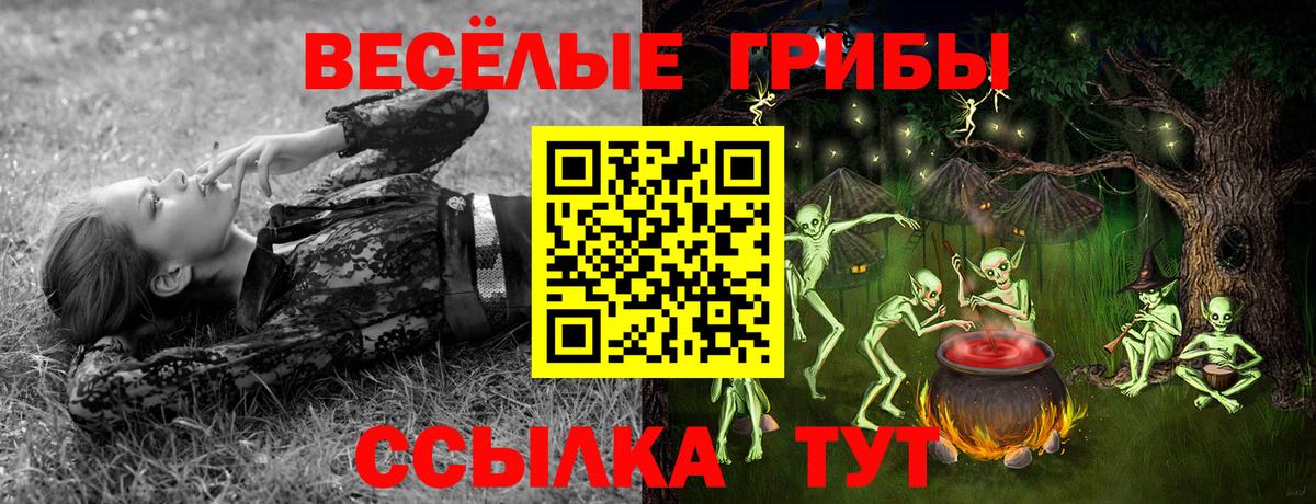 Псилоцибиновые грибы Magic Shrooms  Галлюциногенные грибы Cubensis  Вход с VPN  Чернушка 
